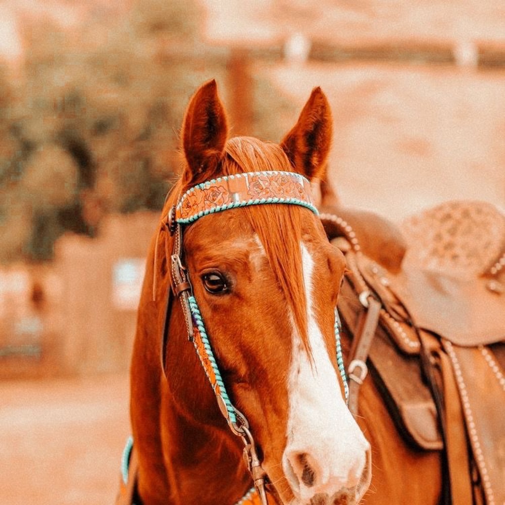 Meet your Posher, Kylie